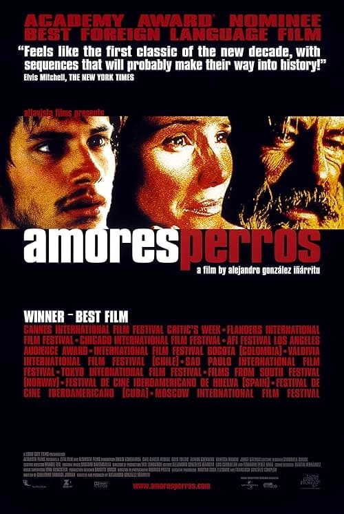 Amores Perros film posteri